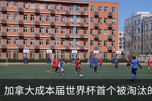加拿大成本届世界杯首个被淘汰的东道主，主帅却说“我们表现更好”！