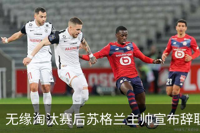 无缘淘汰赛后苏格兰主帅宣布辞职 执教七年出战三届大赛